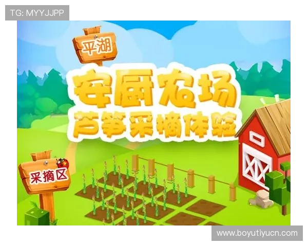 爱游戏网站会员登录页面优化建议，提升用户体验的实用技巧