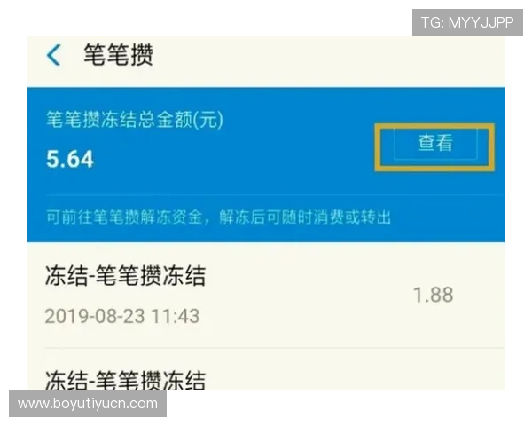 鼎博游戏官网高效便捷的支付方式，确保您的资金安全快速到账体验无忧